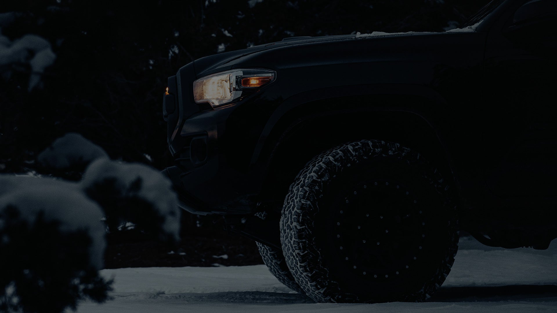 Winter