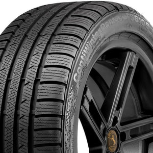 continental_contiwintercontact ts810_righthalf.jpg