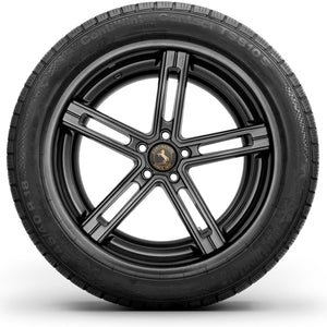 continental_contiwintercontact ts810s_sideon.jpg