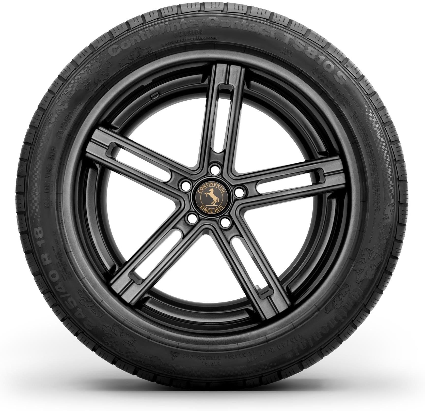 continental_contiwintercontact ts810s_sideon.jpg