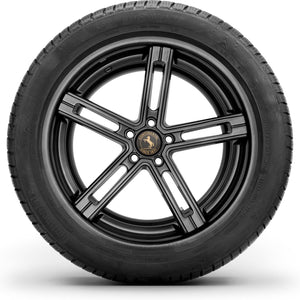 continental_contiwintercontact ts830p_sideon.jpg