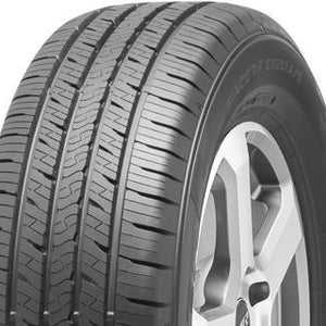 falken_sincera sn201 as_righthalf.jpg