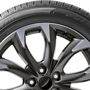 falken_ziex ct60 as_sideon.jpg
