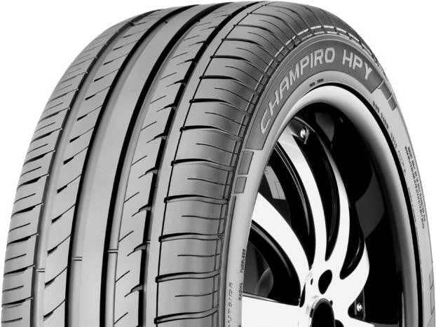 gt radial_champiro hpy_righthalf.jpg