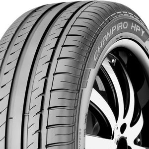gt radial_champiro hpy_righthalf.jpg