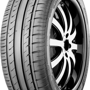 gt radial_champiro hpy_rightwhole.jpg