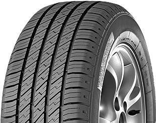 gt radial_maxtour_righthalf.jpg